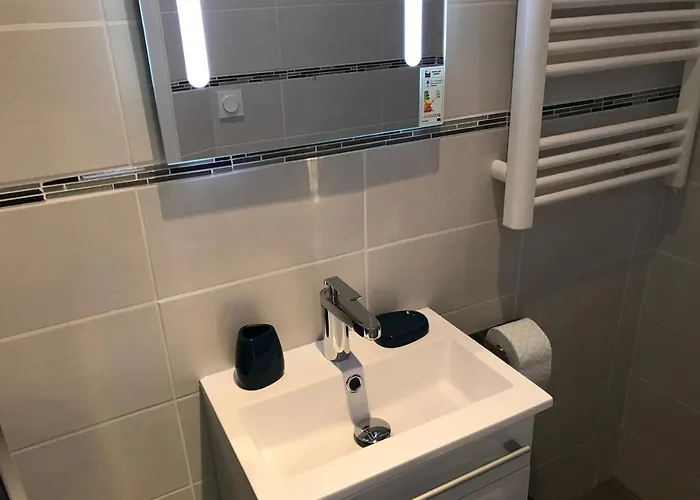 Vendome Apartman Vichy